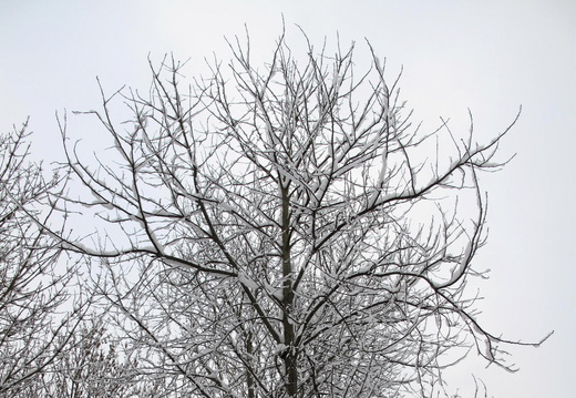 Winter Impressions 2011